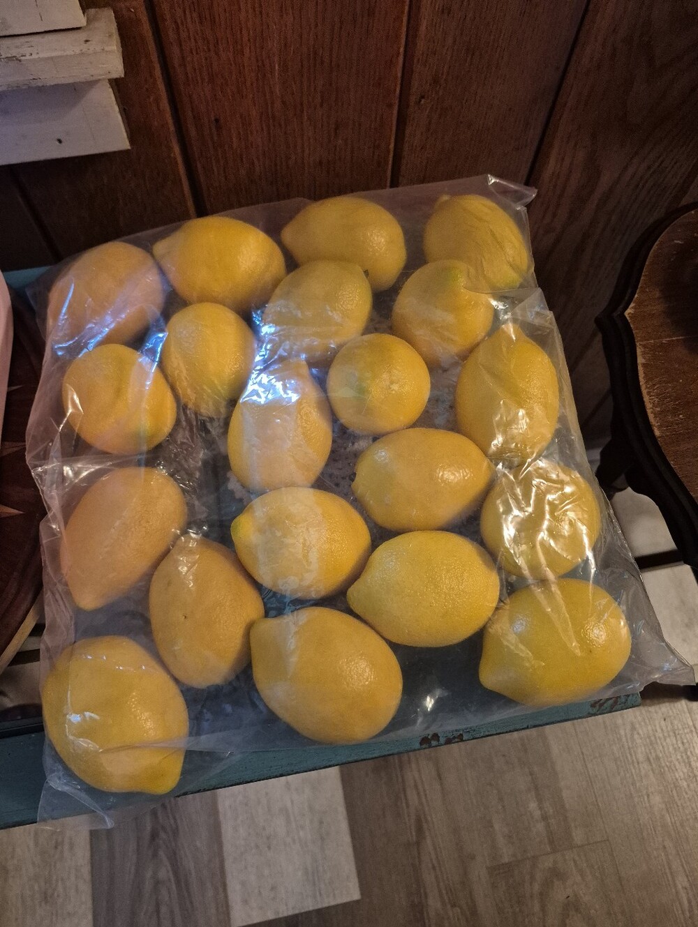 โค๏ธโ๐ฅ Large Bag Fake Faux Decor Fruit Lemons